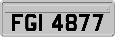 FGI4877