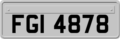 FGI4878