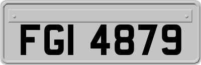 FGI4879