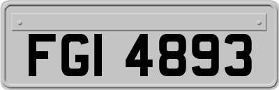 FGI4893