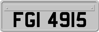 FGI4915