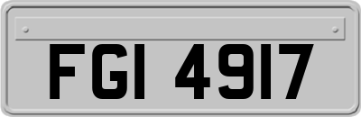 FGI4917