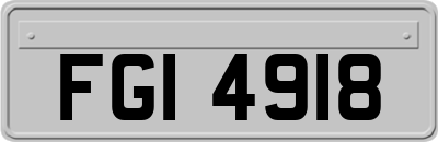 FGI4918