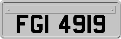 FGI4919