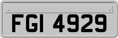 FGI4929
