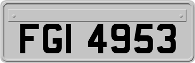 FGI4953