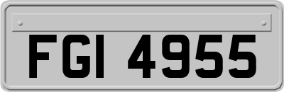 FGI4955