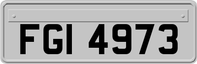 FGI4973