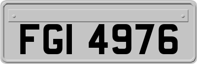 FGI4976