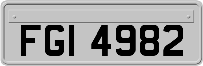 FGI4982
