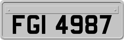 FGI4987