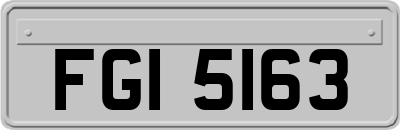 FGI5163