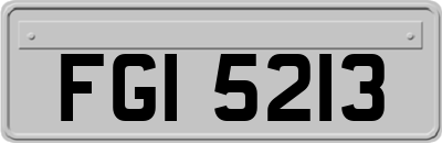 FGI5213