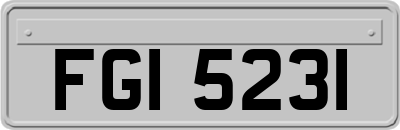 FGI5231