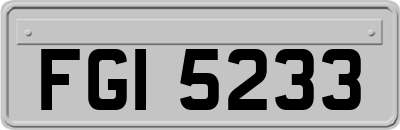 FGI5233