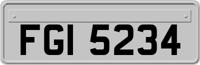 FGI5234