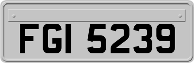 FGI5239