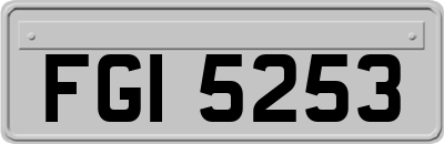 FGI5253