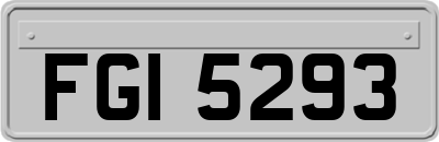 FGI5293