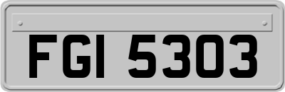 FGI5303