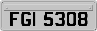 FGI5308