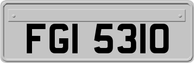 FGI5310