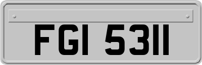 FGI5311