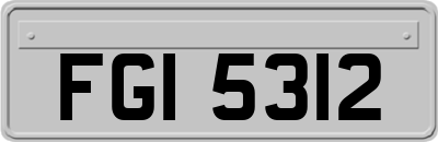 FGI5312