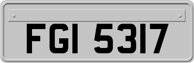 FGI5317
