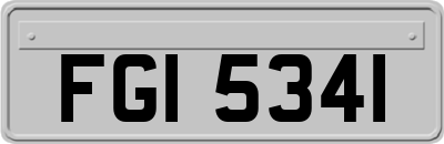 FGI5341