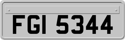 FGI5344