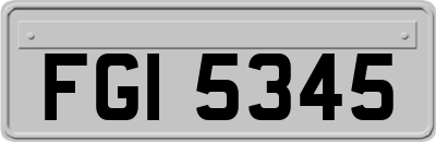 FGI5345