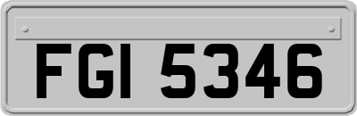 FGI5346