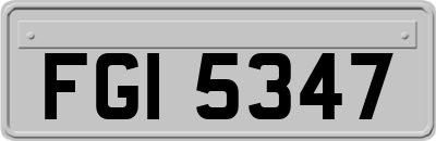 FGI5347