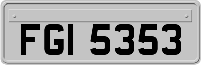 FGI5353