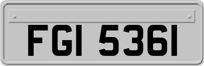 FGI5361