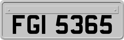 FGI5365