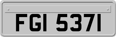 FGI5371