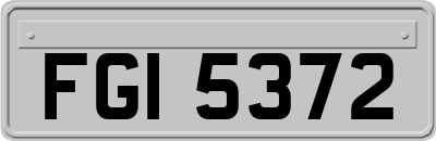 FGI5372