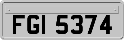 FGI5374
