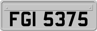 FGI5375