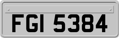 FGI5384