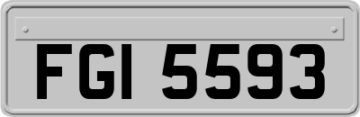 FGI5593