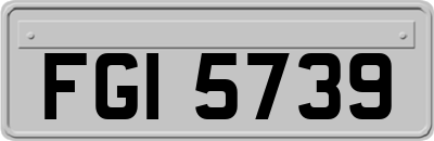 FGI5739