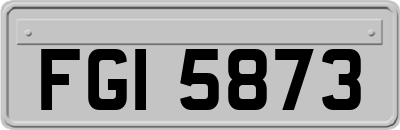 FGI5873