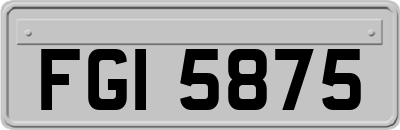 FGI5875
