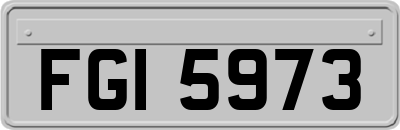 FGI5973