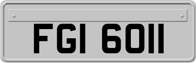 FGI6011