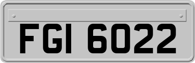 FGI6022