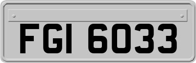 FGI6033